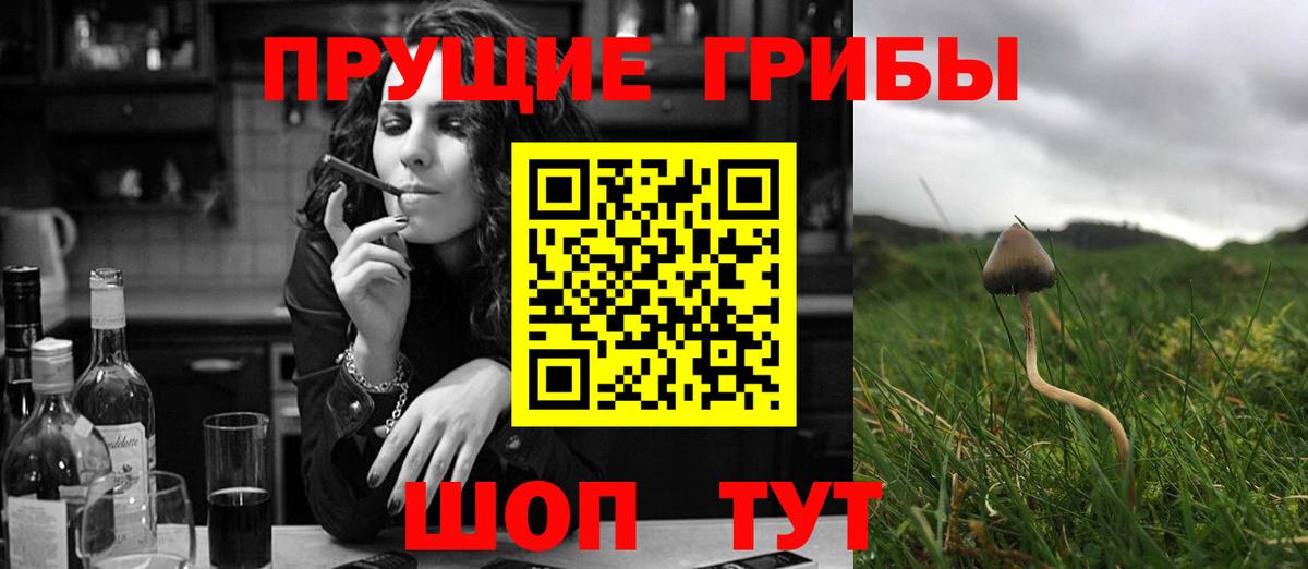 Галлюциногенные грибы GOLDEN TEACHER  Вход с VPN  Псилоцибиновые грибы мухоморы  Набережные Челны 